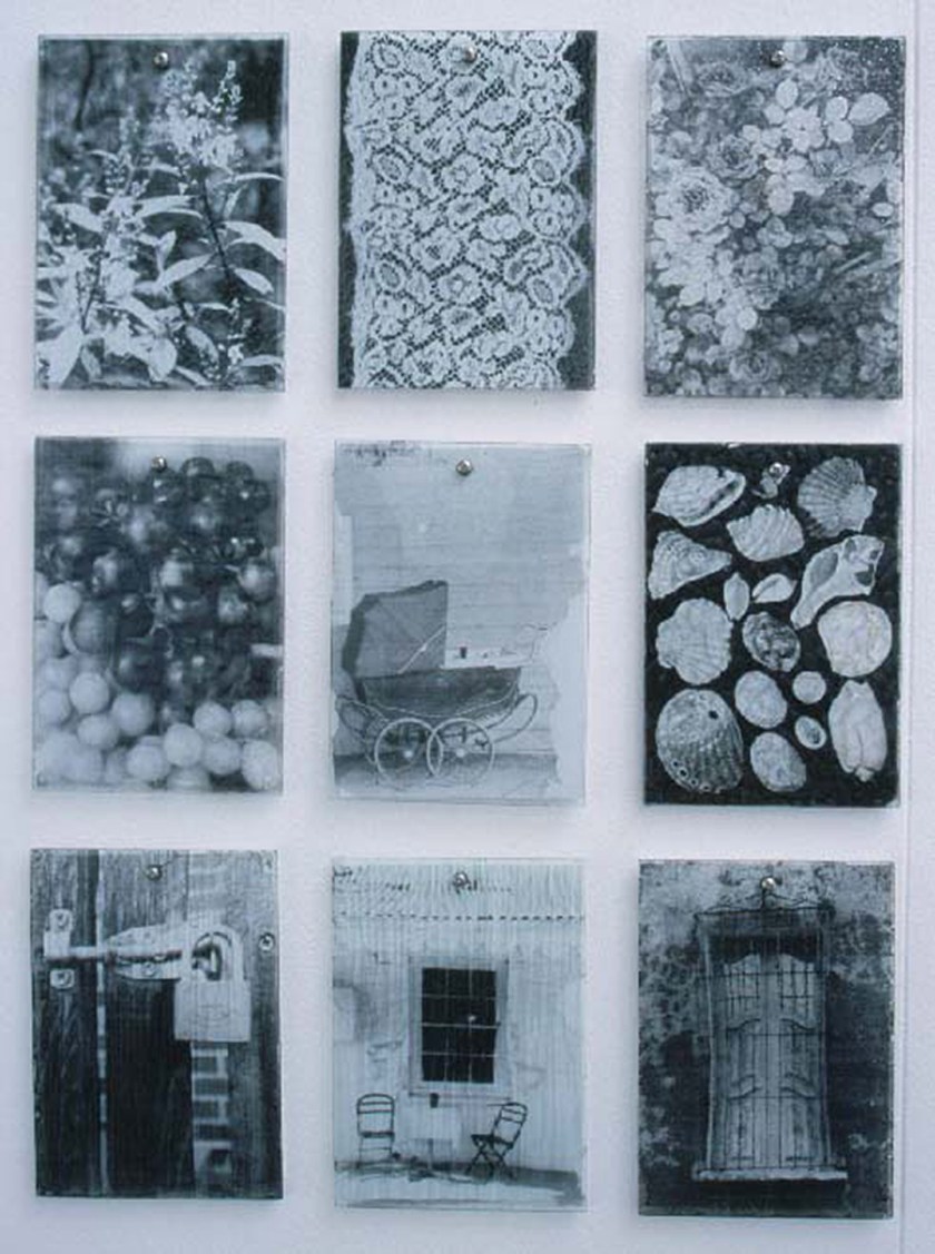 instalation-cyclus-of-life-a4